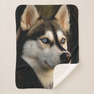 Beautiful Husky Throw Pillow