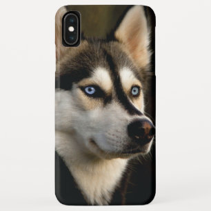 Beautiful Husky Throw Pillow iPhone XS Max Case