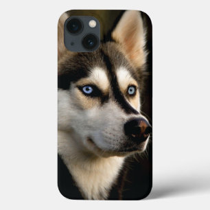 Beautiful Husky Throw Pillow iPhone 13 Case