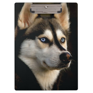 Beautiful Husky Throw Pillow Clipboard