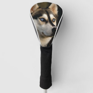 Beautiful Husky Throw Pillow Golf Head Cover