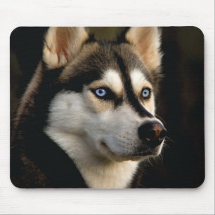 Beautiful Husky Throw Pillow Mouse Mat