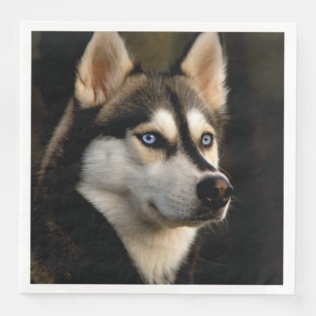 Beautiful Husky Throw Pillow Napkin (Front)