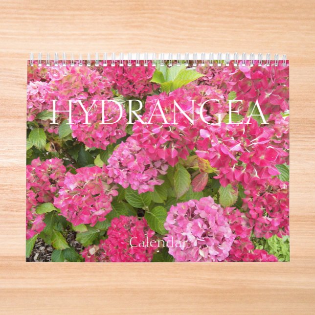 Beautiful Hydrangea Blooms Floral Photographic Calendar (In Situ)