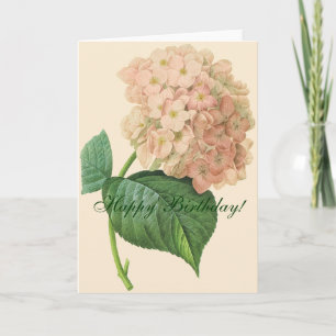 Beautiful Hydrangea Flower Birthday Card