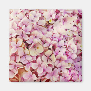 Beautiful Hydrangea Flowers Magnet