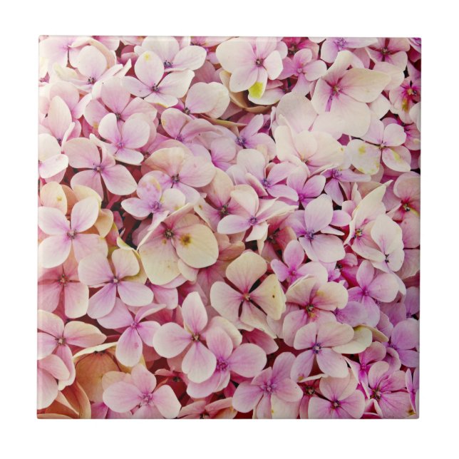Beautiful Hydrangea Flowers Tile (Front)