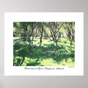 Beautiful Iceland Reykjavik landscape painting art Poster