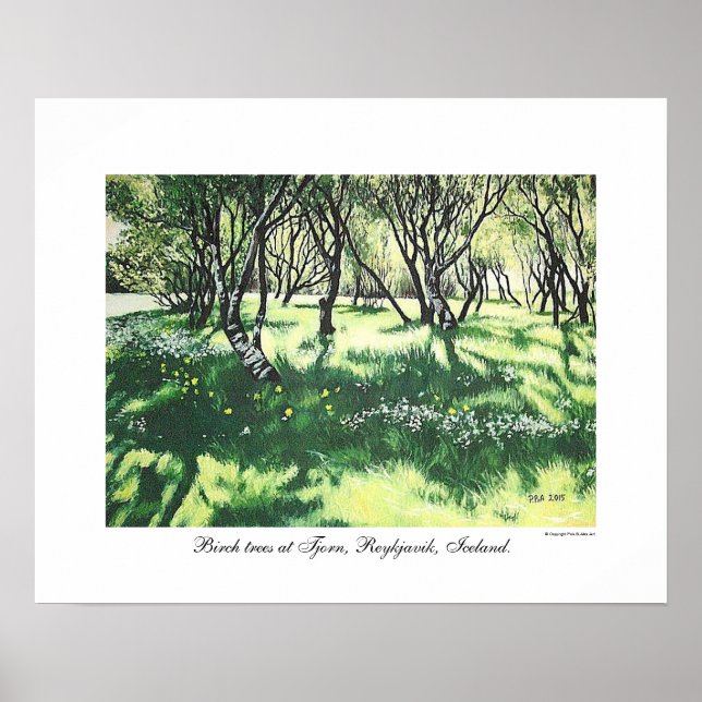 Beautiful Iceland Reykjavik landscape painting art Poster (Front)
