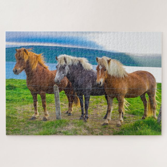 Beautiful Icelandic Horses Animals Nature Jigsaw Puzzle (Horizontal)