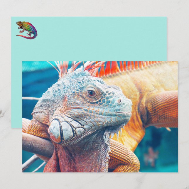 Beautiful iguana Flat Card (Front/Back)