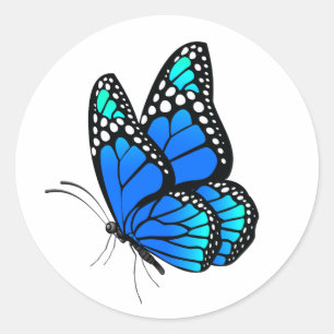 Beautiful illustrated Butterfly  Classic Round Sticker