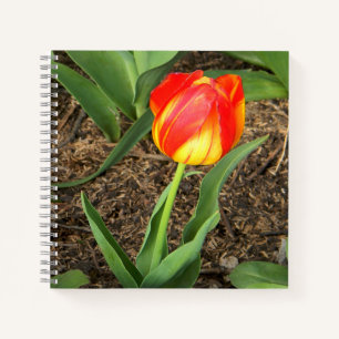 Beautiful in Spring.... Notebook