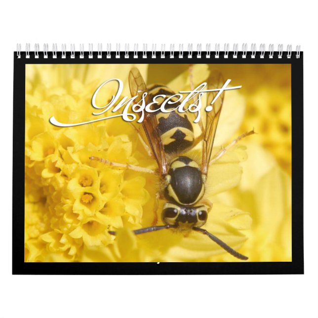 Beautiful Insects Calendar 2018 (Cover)