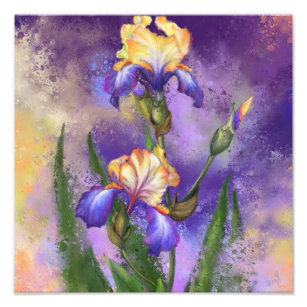 Beautiful Iris Flower - Migned Art Painting Photo Print
