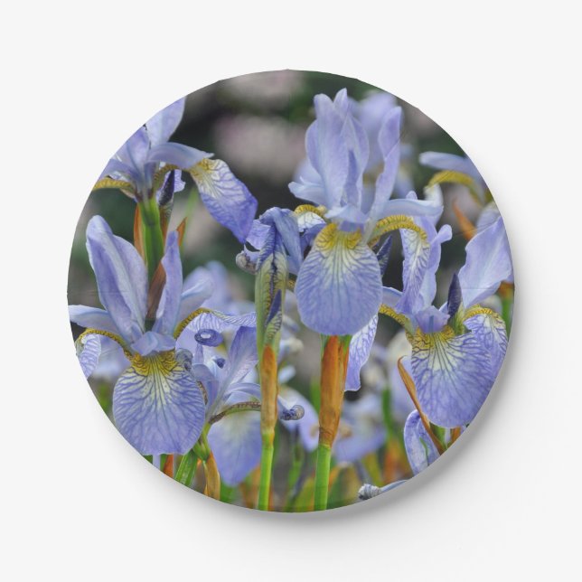 Beautiful iris flowers paper plate (Front)