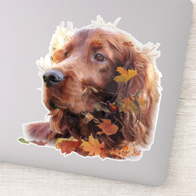 Beautiful Irish Red Setter (Detail)