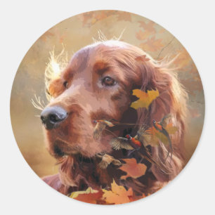 Beautiful Irish Red Setter Classic Round Sticker