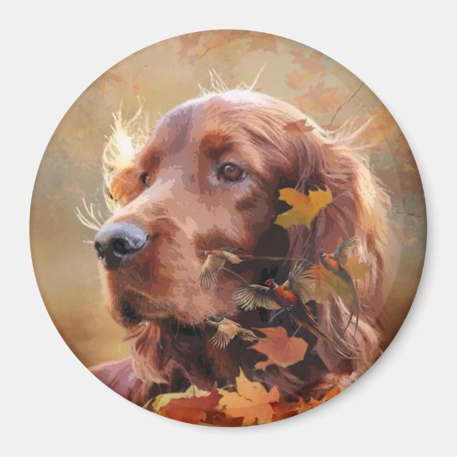 Beautiful Irish Red Setter Magnet (Front)
