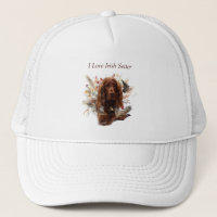 Beautiful Irish Red Setter