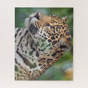 Beautiful Jaguar in the Wild Jigsaw Puzzle