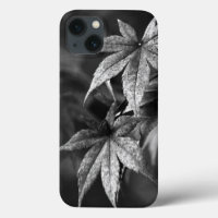 Beautiful Japanese Maple Leaf Portrait in B/W
