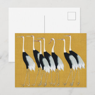 Beautiful Japanese Red Crown Cranes by Ogata Korin Postcard