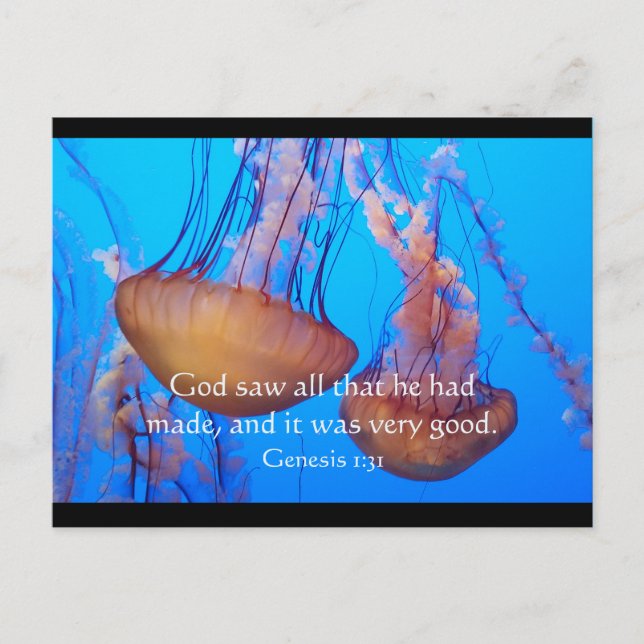 Beautiful Jellyfish Bible Verse Postcard (Front)