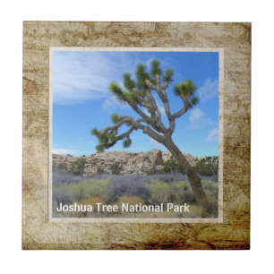 Beautiful Joshua Tree Tile! Tile
