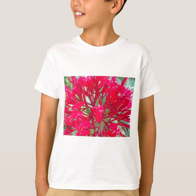 Beautiful Kaleidoscope of Colourful Red Milkweed  T-Shirt (Front)