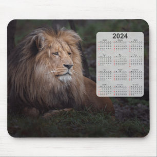 Beautiful Katanga Lion 2024 Calendar Mouse Mat