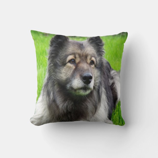 Beautiful Keeshond Cushion (Front)