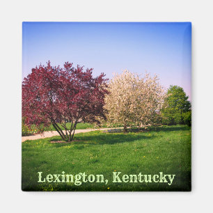 Beautiful Kentucky Landscape and Trees Magnet