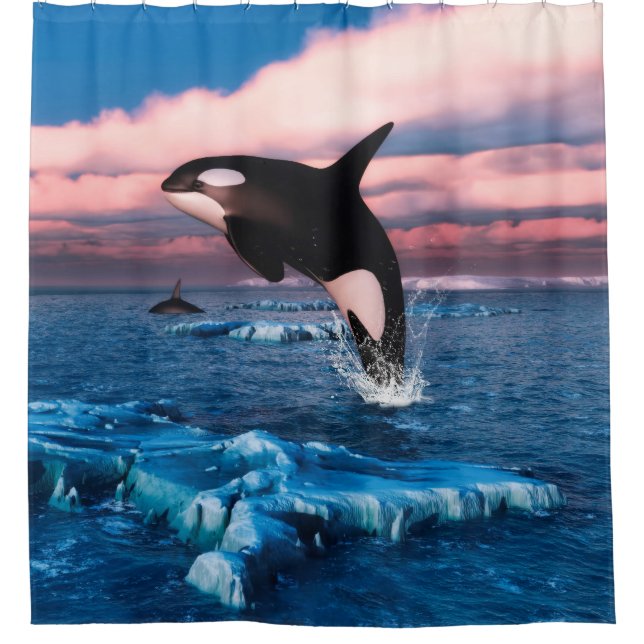 Beautiful Killer Whales In The Arctic Ocean Shower Curtain (Front)