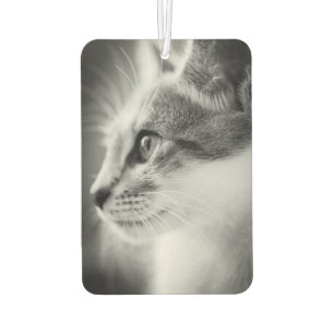 Beautiful Kitten Air Freshener