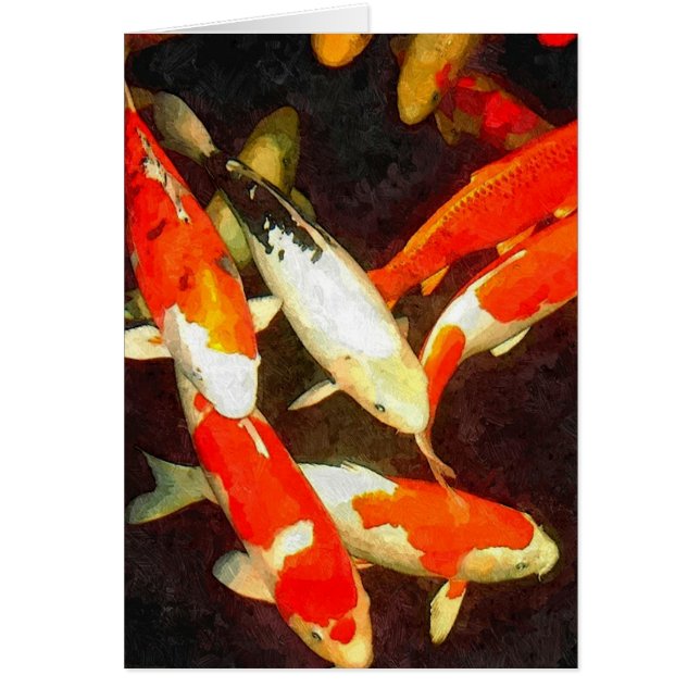 Beautiful Koi Fish In A Pond (Front)