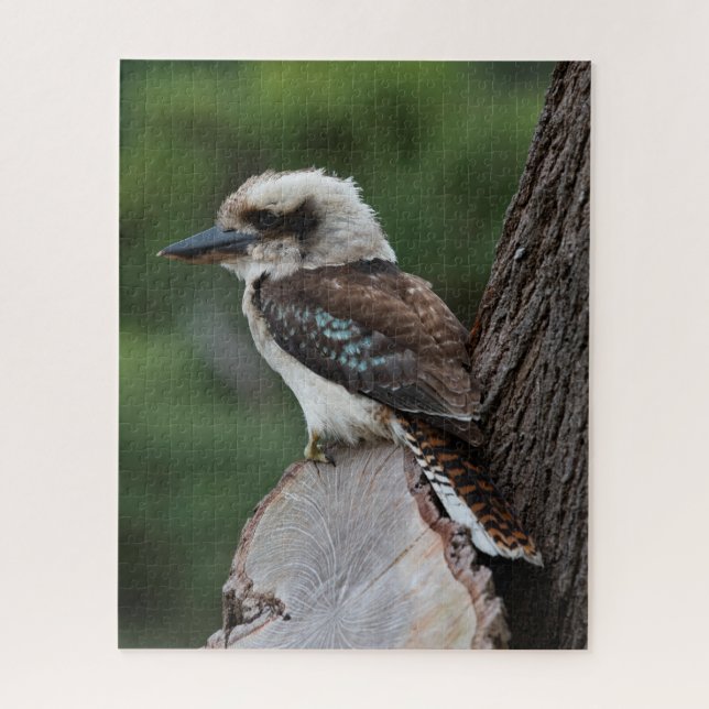 Beautiful Kookaburra Bird Australia, 520 pieces Jigsaw Puzzle (Vertical)