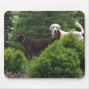 Beautiful Labrador mouse pad