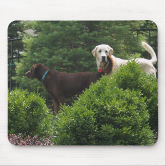 Beautiful Labrador mouse pad