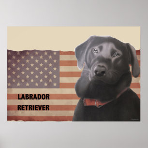 Beautiful Labrador Retriever American Flag Poster