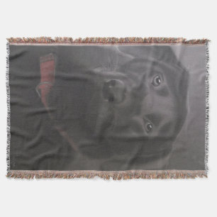 Beautiful Labrador Retriever Throw Blanket
