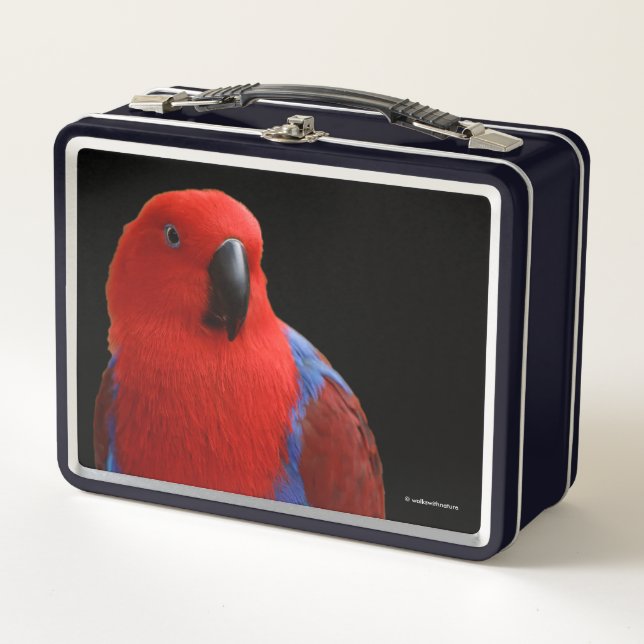 Beautiful "Lady in Red" Eclectus Parrot Metal Lunch Box (Front)
