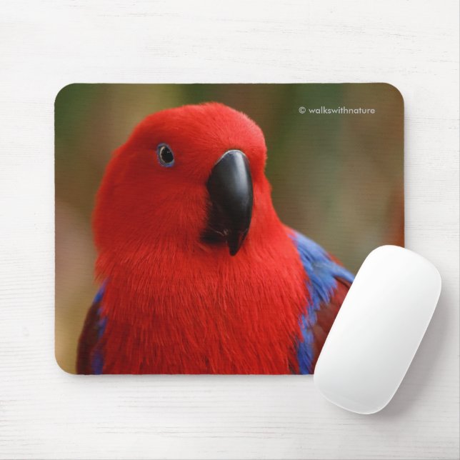 Beautiful "Lady in Red" Eclectus Parrot Mouse Mat (With Mouse)