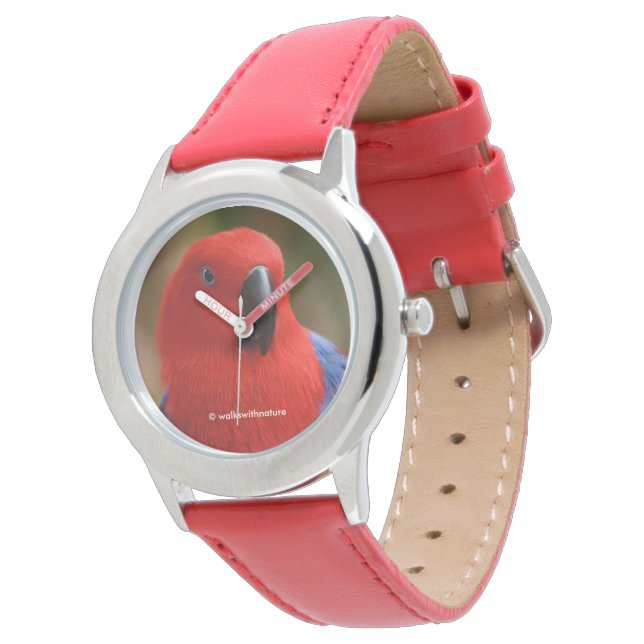 Beautiful "Lady in Red" Eclectus Parrot Watch (Angled)