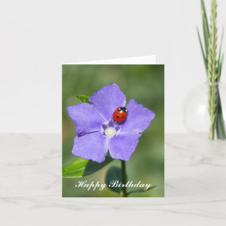 Beautiful Ladybug on Periwinkle Birthday Card