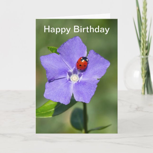 Beautiful Ladybug on Periwinkle Birthday Card (Front)