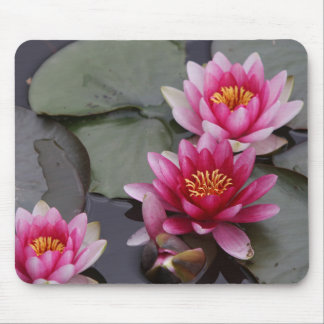 Beautiful lake flowers on mause pad mouse mat