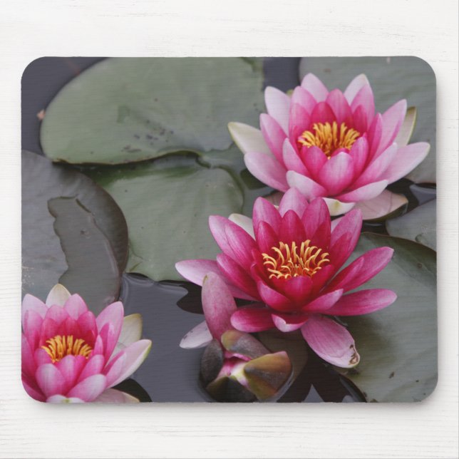 Beautiful lake flowers on mause pad mouse mat (Front)
