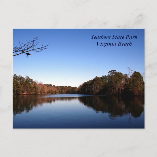 Beautiful Lake Postcard (Front)