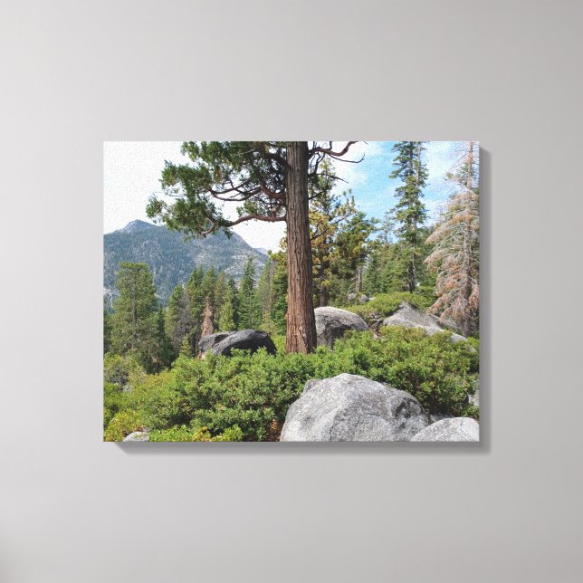 Beautiful Lake Tahoe Scenery Canvas Print (Front)